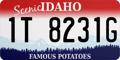 ID license plate 1T8231G