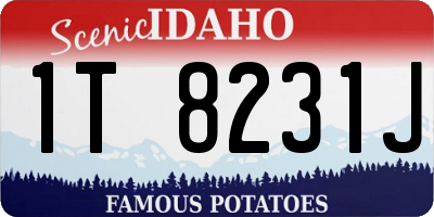 ID license plate 1T8231J