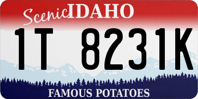 ID license plate 1T8231K