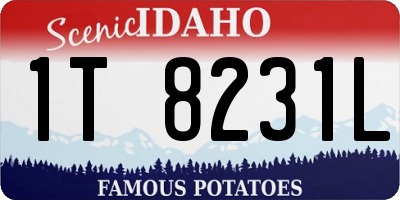 ID license plate 1T8231L