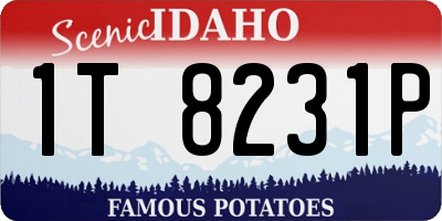 ID license plate 1T8231P