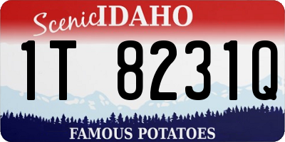 ID license plate 1T8231Q