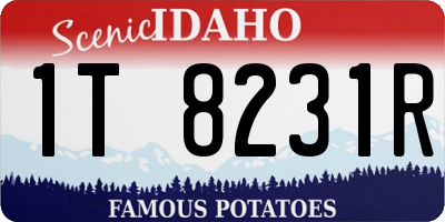 ID license plate 1T8231R