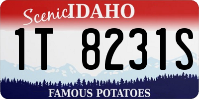 ID license plate 1T8231S