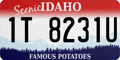 ID license plate 1T8231U