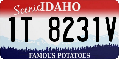 ID license plate 1T8231V