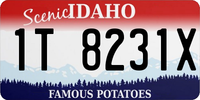 ID license plate 1T8231X