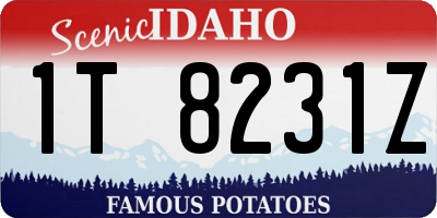 ID license plate 1T8231Z
