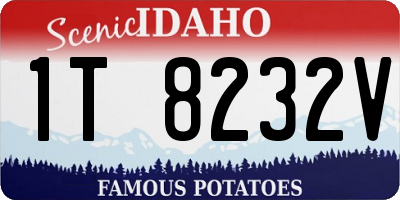 ID license plate 1T8232V