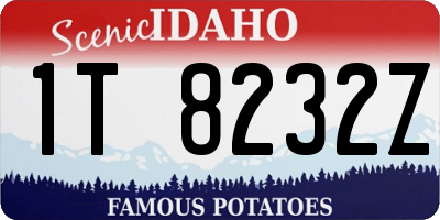 ID license plate 1T8232Z