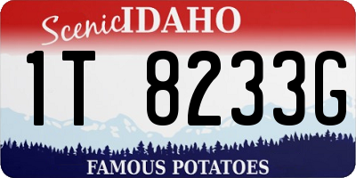 ID license plate 1T8233G