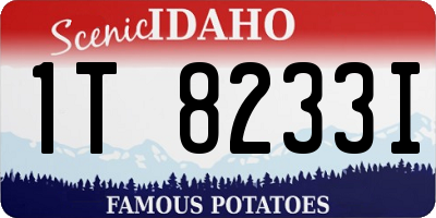 ID license plate 1T8233I