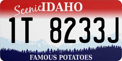 ID license plate 1T8233J
