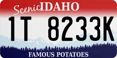 ID license plate 1T8233K