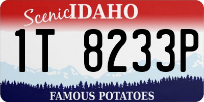 ID license plate 1T8233P