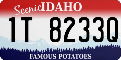 ID license plate 1T8233Q