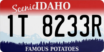 ID license plate 1T8233R