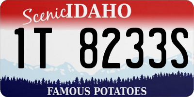 ID license plate 1T8233S