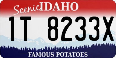 ID license plate 1T8233X