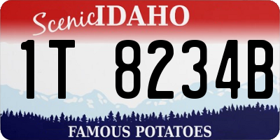 ID license plate 1T8234B