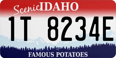 ID license plate 1T8234E