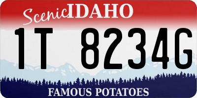ID license plate 1T8234G