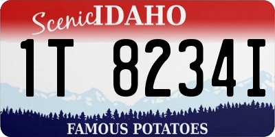 ID license plate 1T8234I