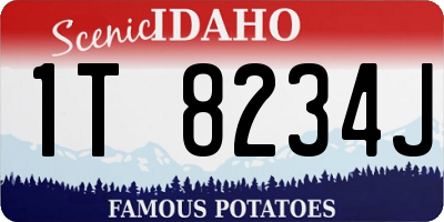 ID license plate 1T8234J