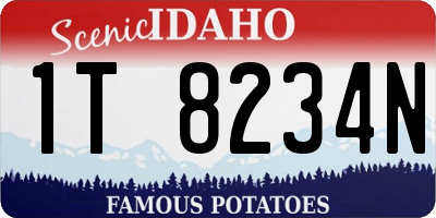 ID license plate 1T8234N