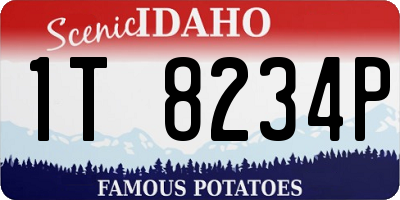 ID license plate 1T8234P