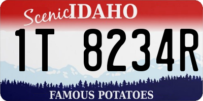 ID license plate 1T8234R