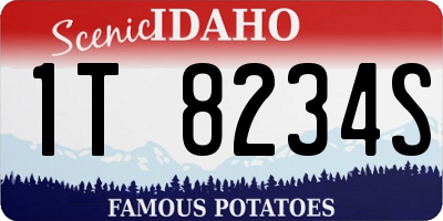 ID license plate 1T8234S