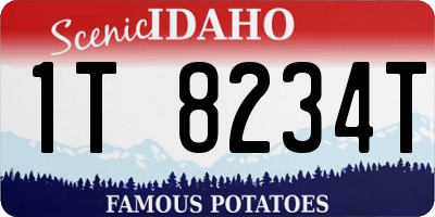 ID license plate 1T8234T
