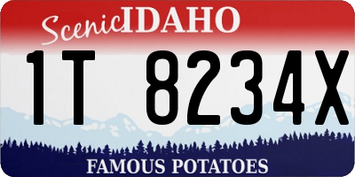 ID license plate 1T8234X