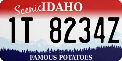 ID license plate 1T8234Z