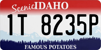 ID license plate 1T8235P