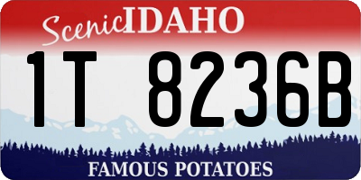 ID license plate 1T8236B