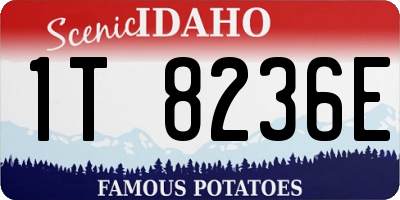 ID license plate 1T8236E