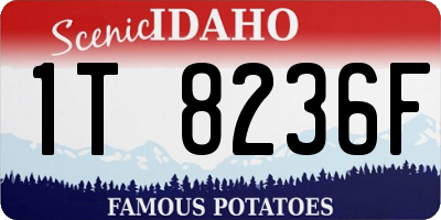 ID license plate 1T8236F
