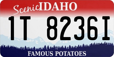 ID license plate 1T8236I