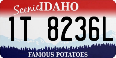 ID license plate 1T8236L