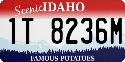 ID license plate 1T8236M