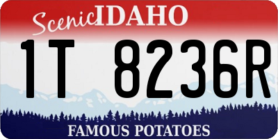 ID license plate 1T8236R