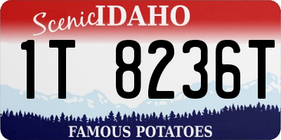 ID license plate 1T8236T