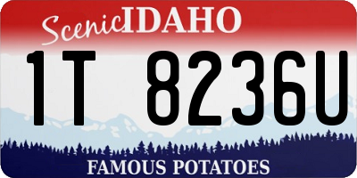 ID license plate 1T8236U