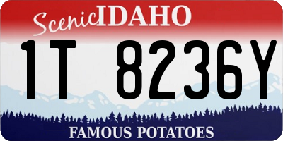 ID license plate 1T8236Y