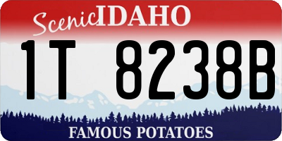 ID license plate 1T8238B