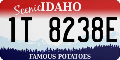 ID license plate 1T8238E