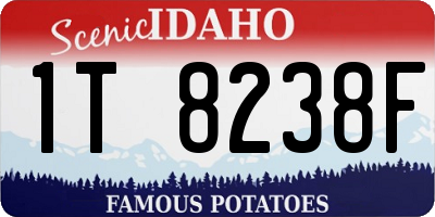ID license plate 1T8238F