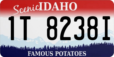 ID license plate 1T8238I